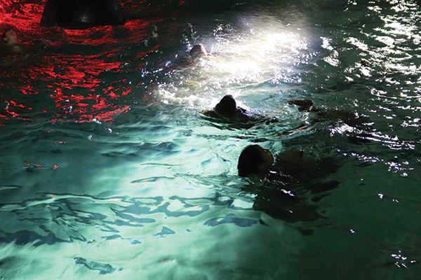 The Combat Water Survival Swimming Lab at West Point